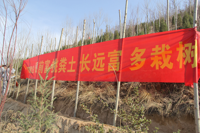 2015年青海分公司植樹活動