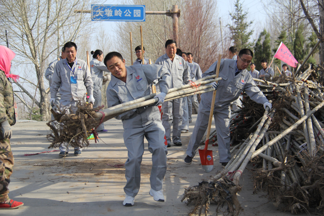 2015年青海分公司植樹活動